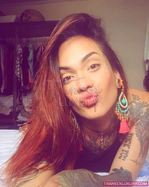 Alana Lima - Foto 16 de 18