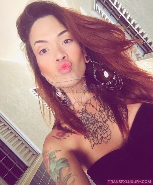 Alana Lima - Foto 17 de 18