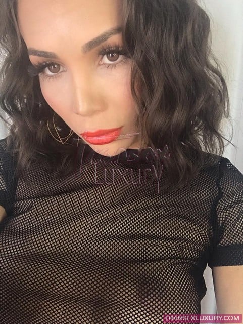 Anitta Trans - Foto 11 de 27