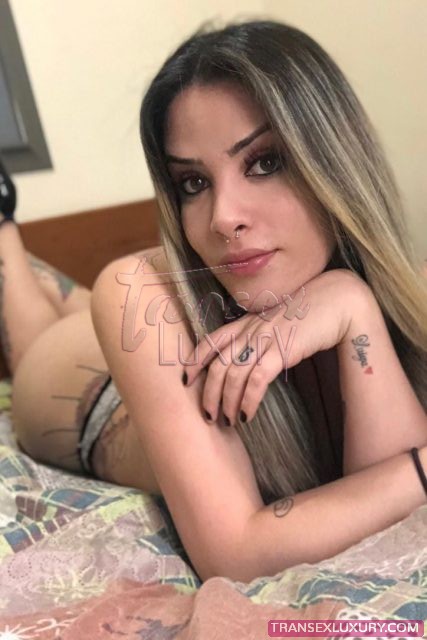 bia-anchieta