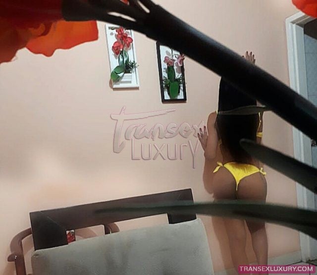 Brenda Queiroz - Foto 6 de 14