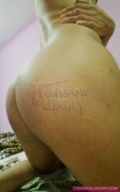 Bárbara Couto - Foto 16 de 16