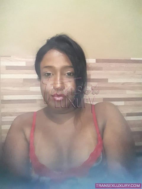 Camilla Vieira - Foto 10 de 14