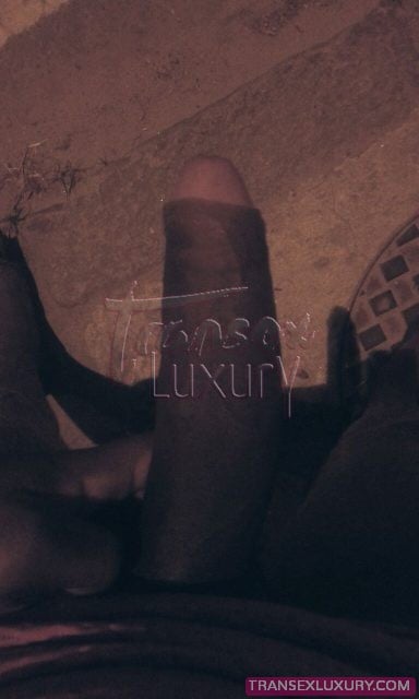 Danny Cacau - Foto 16 de 17