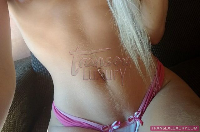 Fernanda Transex - Foto 13 de 16