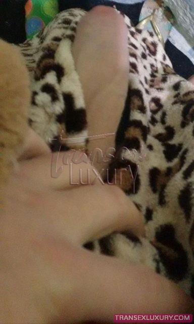 Francinne Gaúcha - Foto 9 de 21