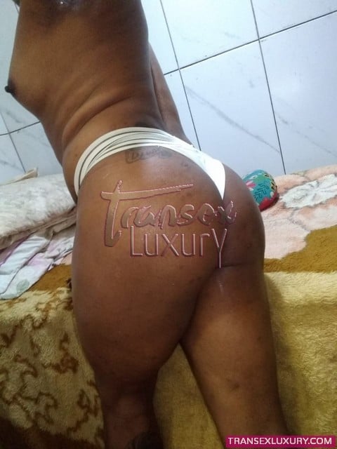 Greice Araújo - Foto 154 de 182