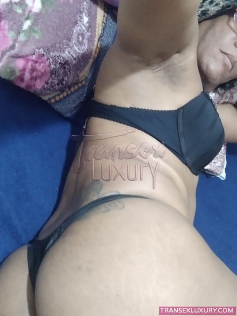 Greice Araújo - Foto 125 de 182