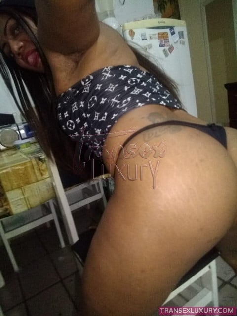 Greice Araújo - Foto 73 de 182