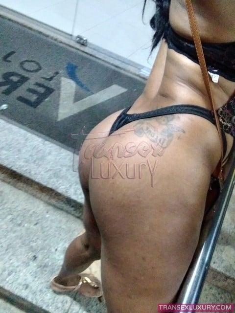 Greice Araújo - Foto 17 de 182