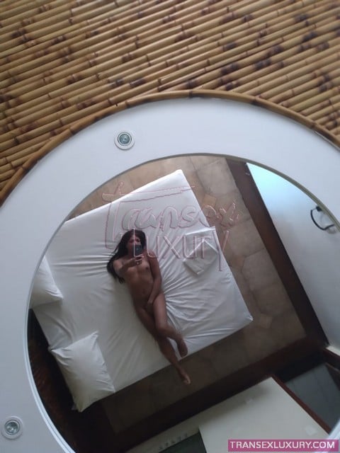 Greice Araújo - Foto 37 de 182