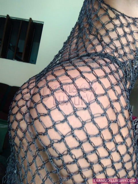 Greice Araújo - Foto 21 de 182