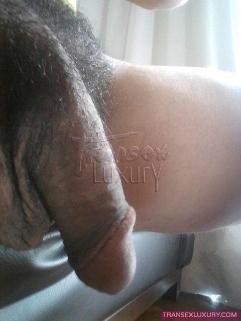 jady-joly
