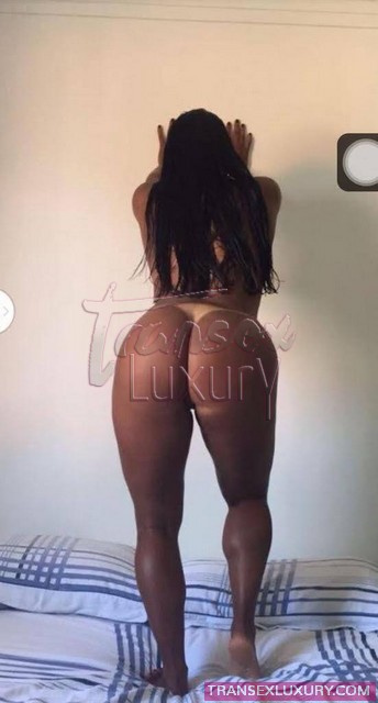 Kamilla Luxo - Foto 8 de 17