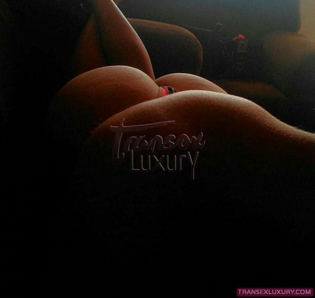 Kimberlly Ribeiro - Foto 8 de 8