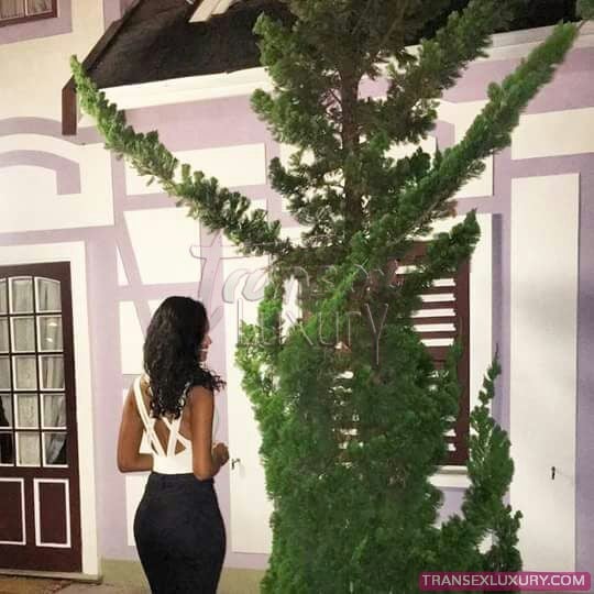 Luana Dafne - Foto 9 de 13