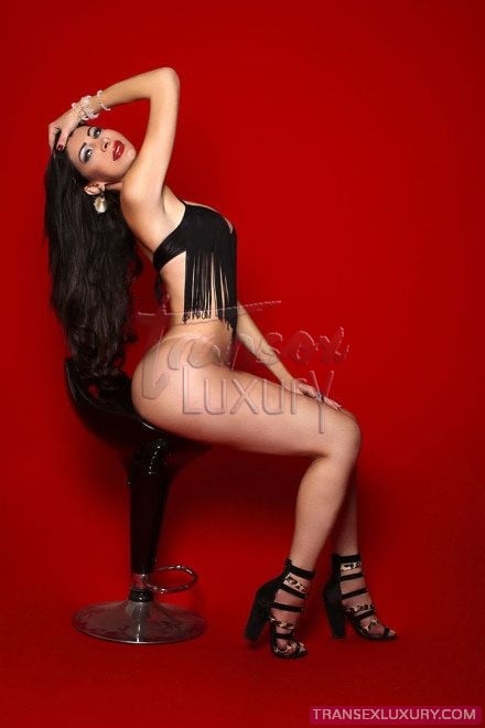 Michelly Fox - Foto 11 de 32