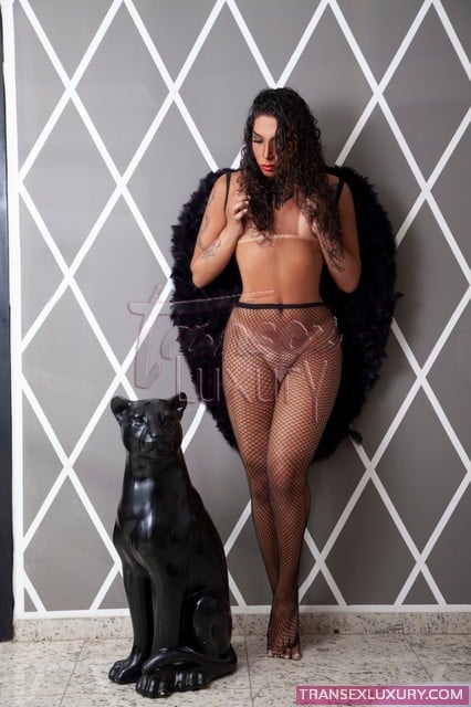 Mylle Morena - Foto 13 de 19