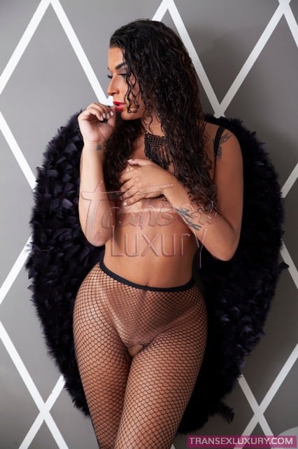 Mylle Morena - Foto 16 de 19