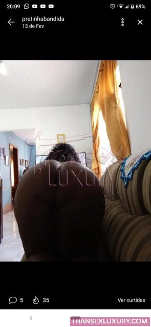 Preta Bandida - Foto 9 de 9