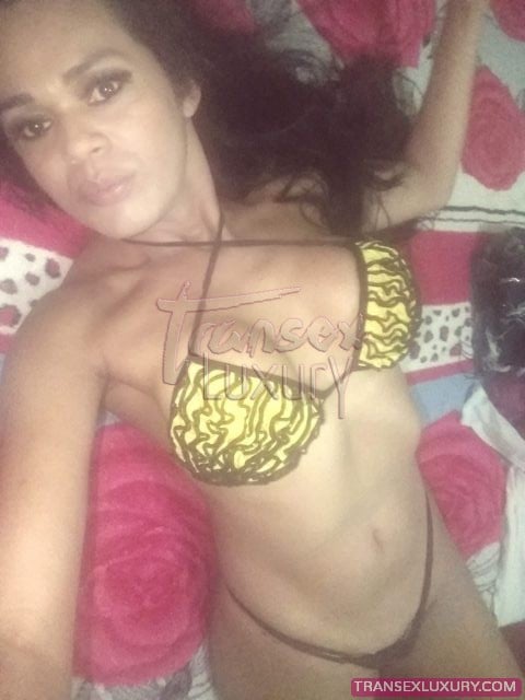 Naomy Guimarães - Foto 8 de 41