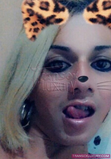Nicoly Lima - Foto 25 de 55