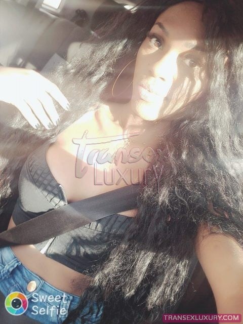 Paolla Castro - Foto 4 de 39