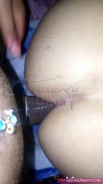 Paolla Castro - Foto 31 de 39