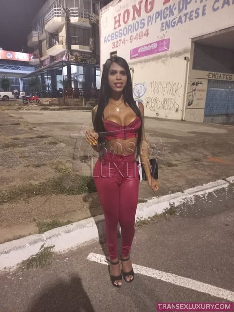 Priscilla Oliveira - Foto 11 de 14
