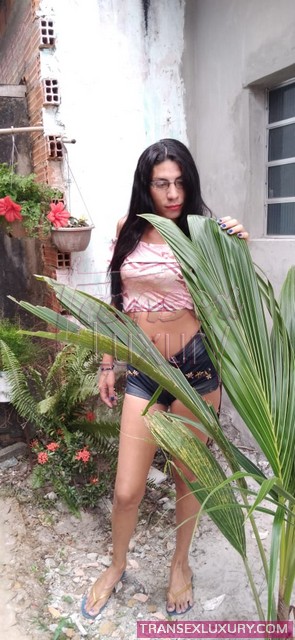 Ruby-Reis