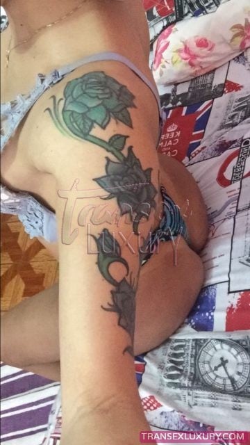 Renata Viana - Foto 17 de 17