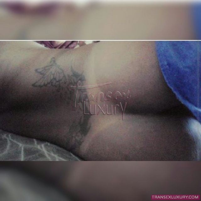 Sarinha Lima - Foto 66 de 68