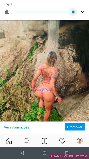 Sato Figueredo - Foto 9 de 14