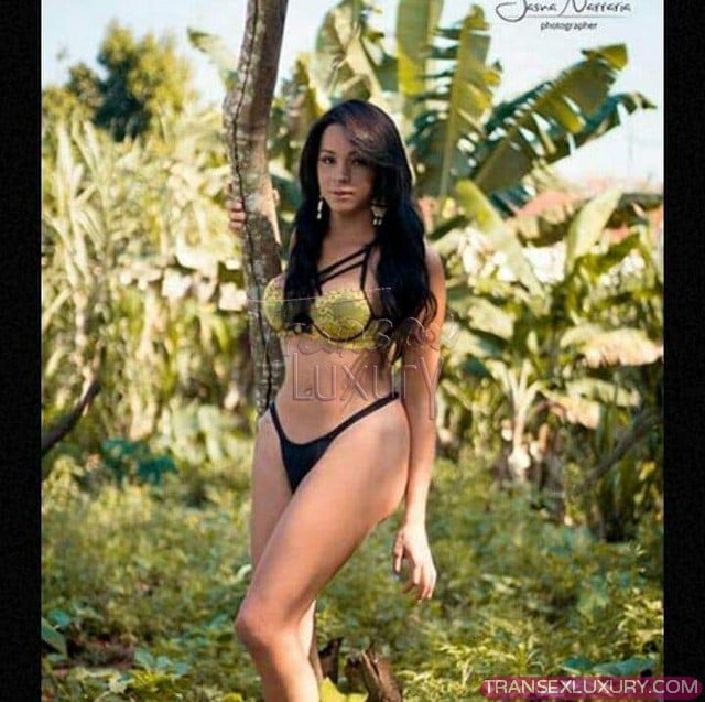 Sthephany - Foto 5 de 8
