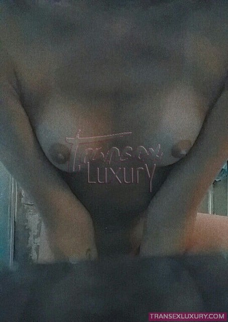 Thayla Abreu - Foto 6 de 7