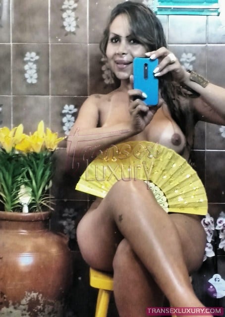 Acompanhante Transex - Foto 2 de 11