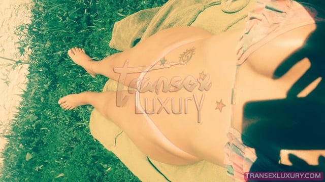 Acompanhante Transex - Foto 10 de 11