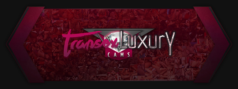 Webcams Trans ao Vivo